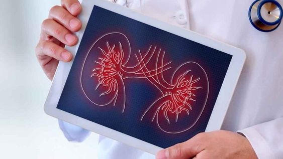 La Sociedad Argentina de Nefrología celebra el Día Mundial del Riñón