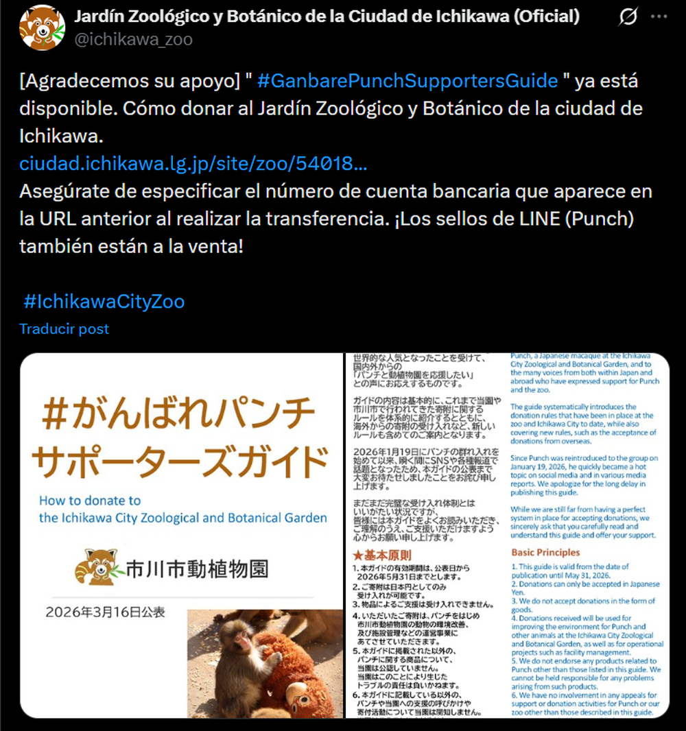 Campaña de donaciones del zoológico donde vive Punch, el mono viral.