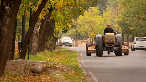 Parque General San Martín - Foto: Ignacio Blanco / Los Andes