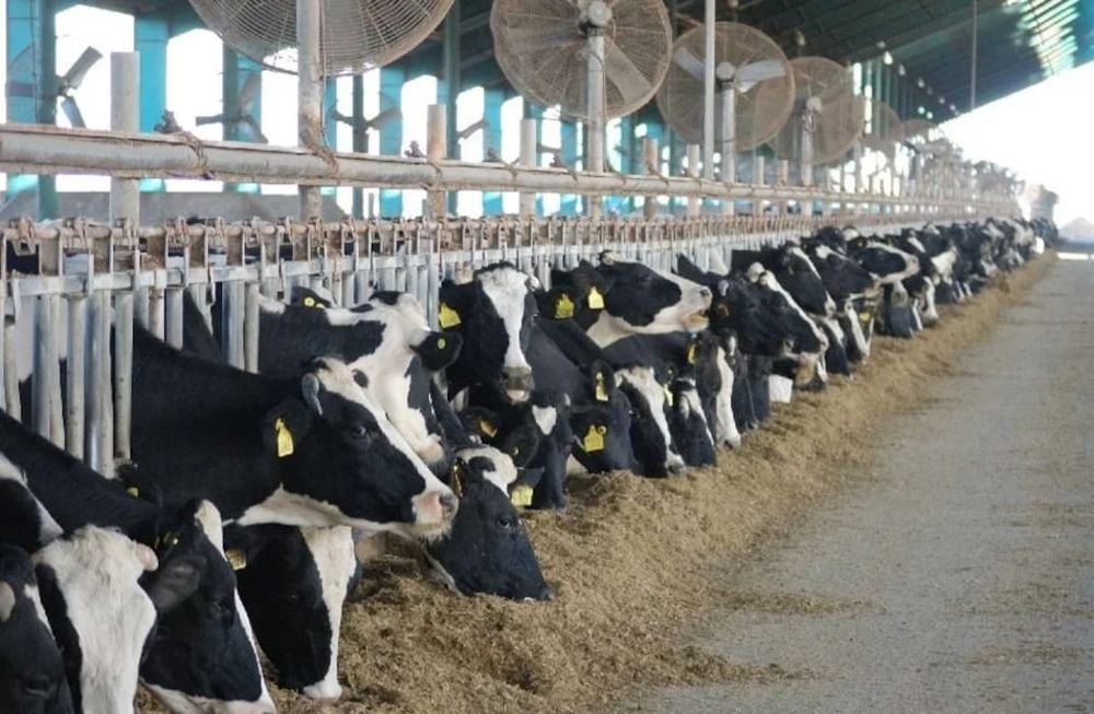 Cuáles son las 10 compañías productoras de leche más grandes del mundo