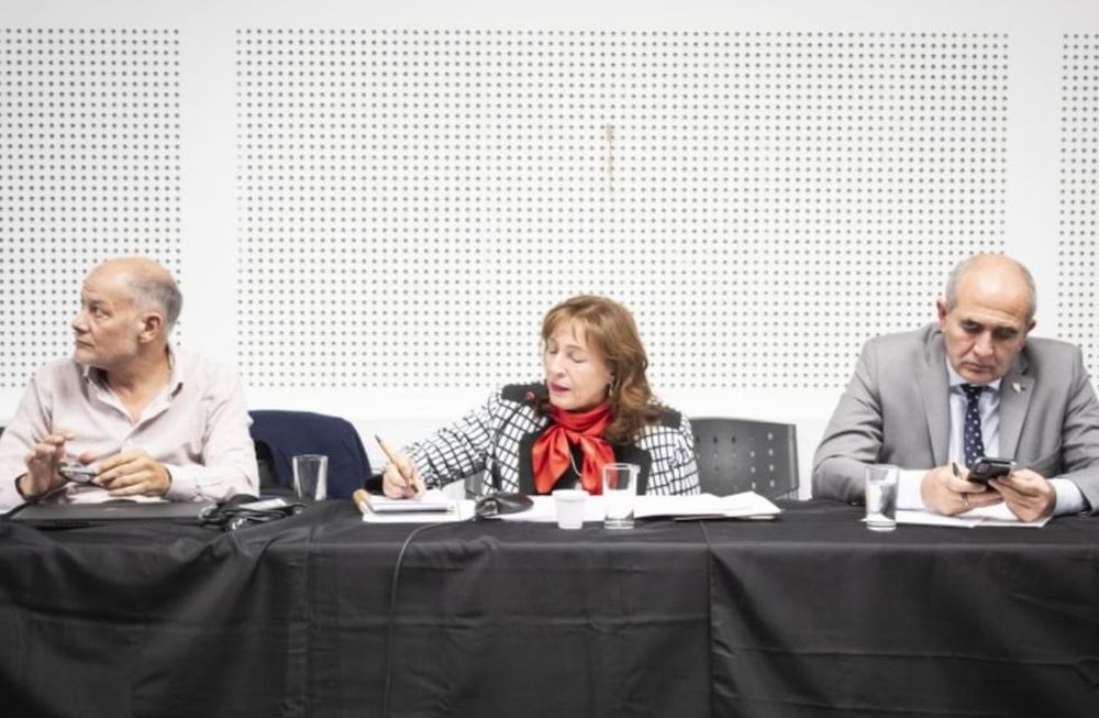 La Rectora de la Universidad Nacional de Cuyo, Esther Sánchez, molesta por la decisión del Gobierno Nacional de aumentarle presupuesto sólo a la UBA. Foto: Prensa UNCuyo.