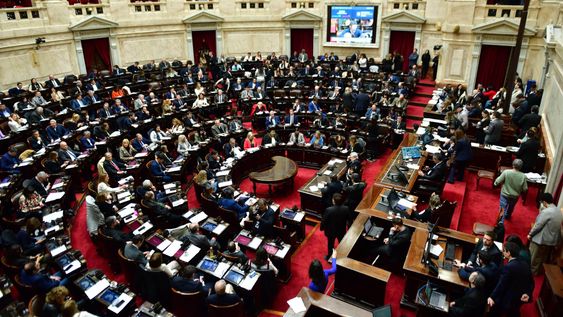 Diputados avanzan con una comisión investigadora por las presuntas coimas en Discapacidad.