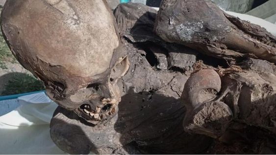 El repartidor declaró que tenía a la momia guardada en la casa de sus padres y que la sacó para mostrársela a sus amigos del barrio. Foto: EFE.