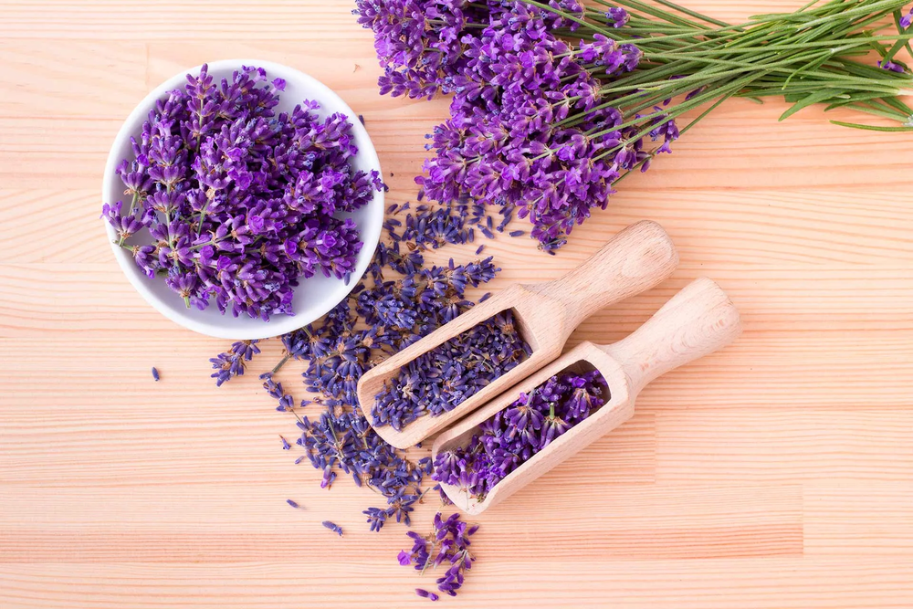 Lavanda_op