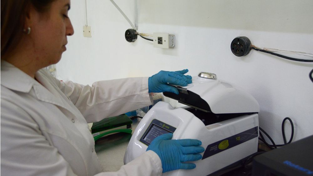 Investigadores del Laboratorio de Biología Tumoral del Instituto de Medicina y Biología Experimental de Cuyo (IMBECU, Conicet-UNCuyo), se han dedicado durante años a estudiar mutaciones en cáncer hereditario. Foto: Gentileza Conicet