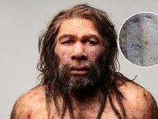 Descubren en España la huella dactilar más antigua del mundo: tiene 43.000 años y fue hecha por un neandertal.
