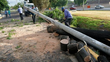 Este es el saldo que dejó la tormenta de anoche: 20 cables del tendido eléctrico caídos y 2 árboles caídos. Foto: Imagen Ilustrativa / Orlando Pelichotti