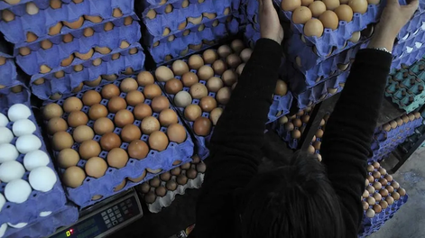 En Mendoza se registra un aumento en el precio de los huevos
