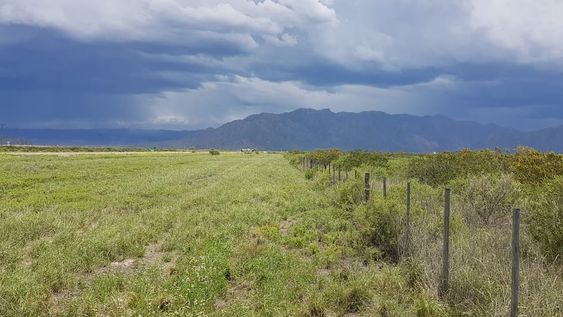 Invertí en un punto estratégico del Corredor Bioceánico