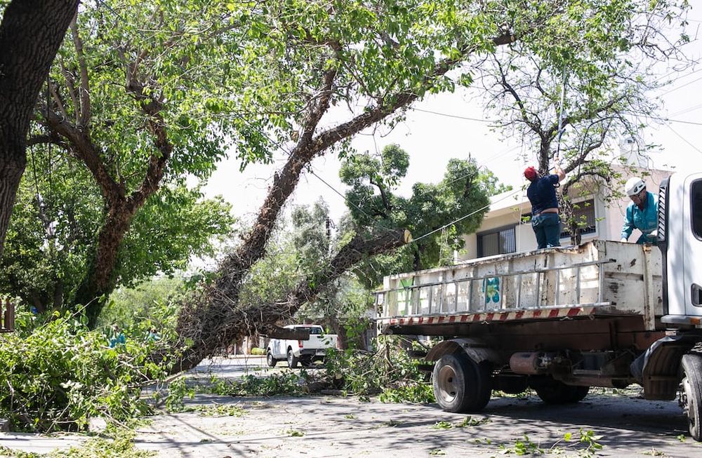 La Ciudad habilitó los cortes de calles producidos por efectos del viento zonda