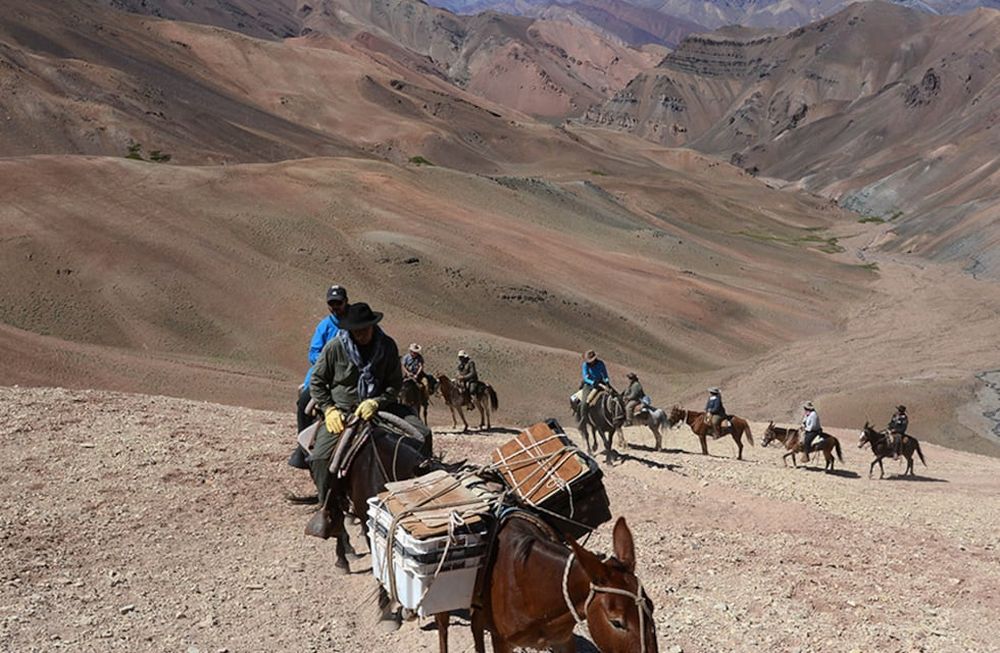 Cruce de Los AndesCruce a caballo de la Cordillera de Los Andes por el Paso de Los Patos, al cumplirse 200 años de la gesta libertadora del General San Martín.Personal de Diario Los Andes realizó la cabalgata de 9 días hasta el límite con Chile haciendo el mismo recorrido que el Libertador con la columna del General Soler.Al fondo el cerro Aconcagua.EPOPEYA   MULAS   EXPEDICIÓN   MONTAÑA   BAQUEANO   ARRIEROFoto: Gustavo Rogé / Los Andes