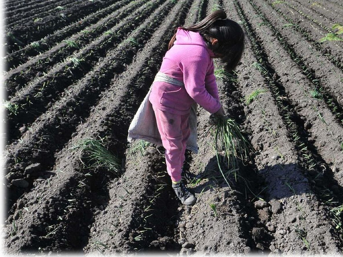 Nuestros pequeños también tienen grandes derechos