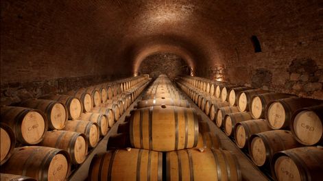 Bodega de Mendoza lanza concurso de fotografía inspirado en Máximo Arias Bodega de Mendoza lanza concurso de fotografía inspirado en Máximo Arias