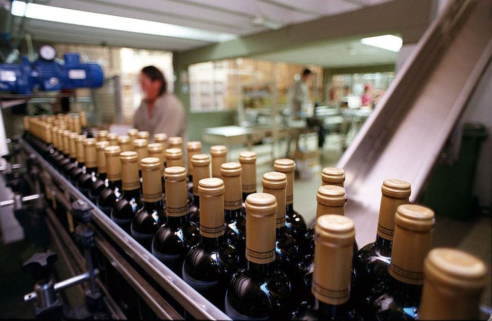 En los diez primeros meses de 2023, Argentina exportó 165 millones de litros de vino, es decir, casi 64 millones de litros menos que en el mismo período de 2022; lo que implica una caída del 27,8%.