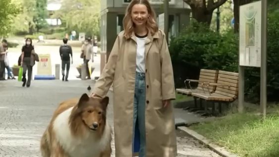 A través de un video, el hombre mostró la primera vez que salió a dar un paseo por la calle con su disfraz de perro collie. Gentileza: 20 minutos.