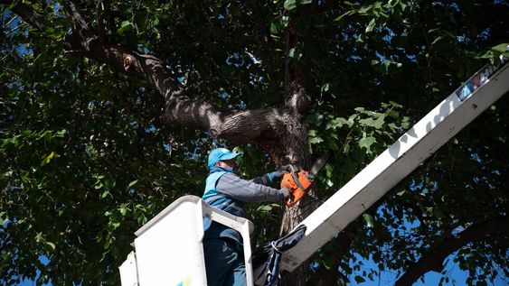 La Ciudad concretará un nuevo cronograma correspondiente a los operativos 360