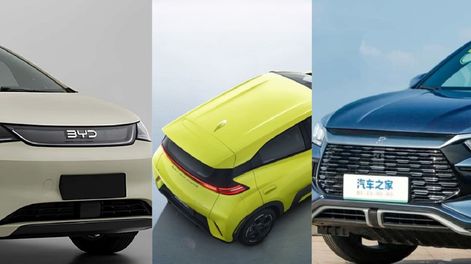 Los tres modelos chinos de BYD que llegan a Argentina: Dolphin, Dolphin Mini / Seagull y Song Pro