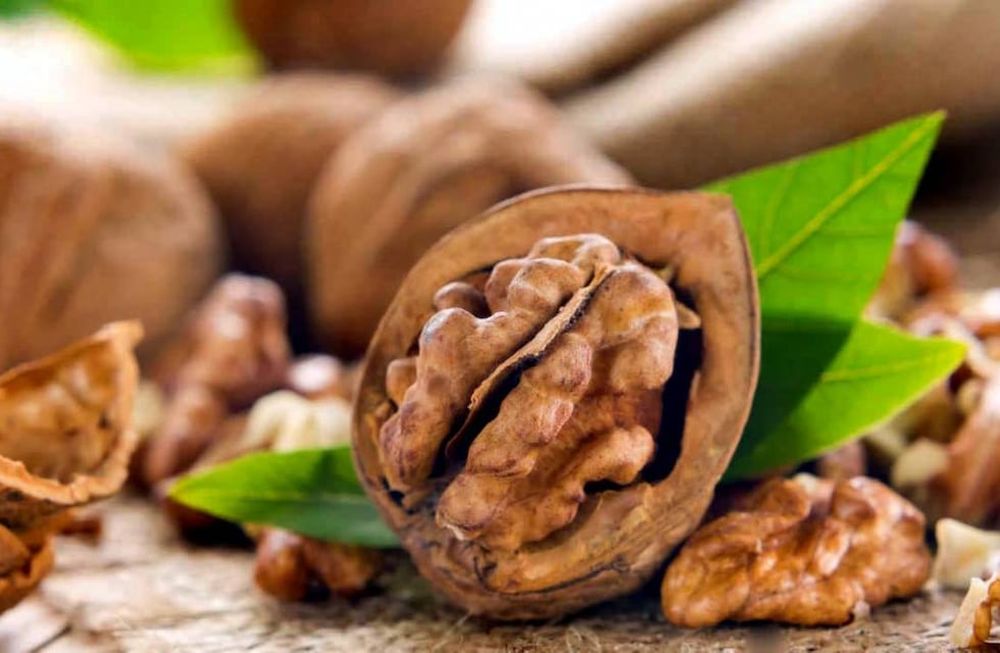 Crearon un catálogo de calidad de nueces para mejorar la comercialización