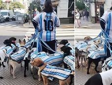 Un paseador de perros se volvió viral tras el look mundialista de las mascotas Un paseador de perros se volvió viral tras el look mundialista de las mascotas
