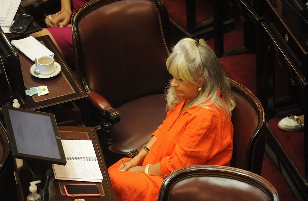 La senadora María Inés Pilatti Vergara, una de las oficialistas que no acompañará la votación (Foto: Federico López Claro)