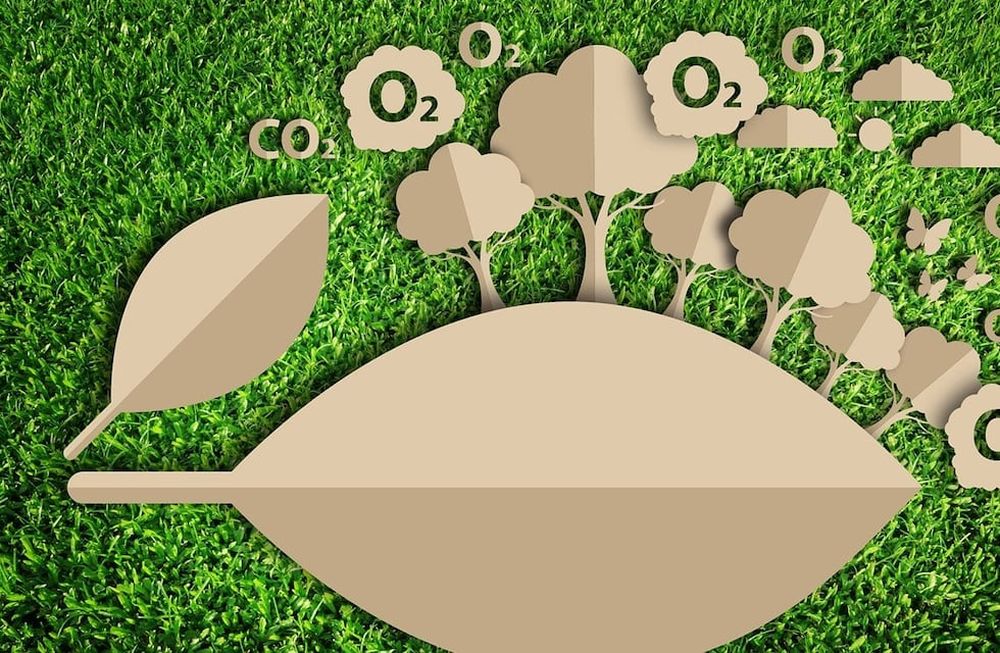 Mendoza será sede internacional para la validación de emprendimientos de impacto