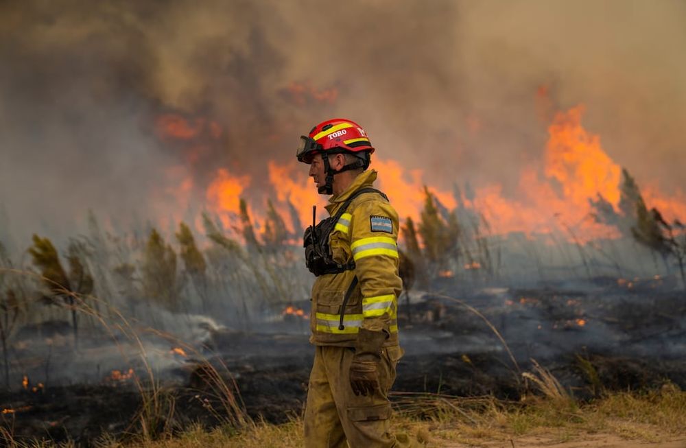 Los incendios en Corrientes ya arrasaron con el 40% del Parque Nacional del Iberá, donde científicos habían logrado reinsertar animales en peligro de extinción.  AP