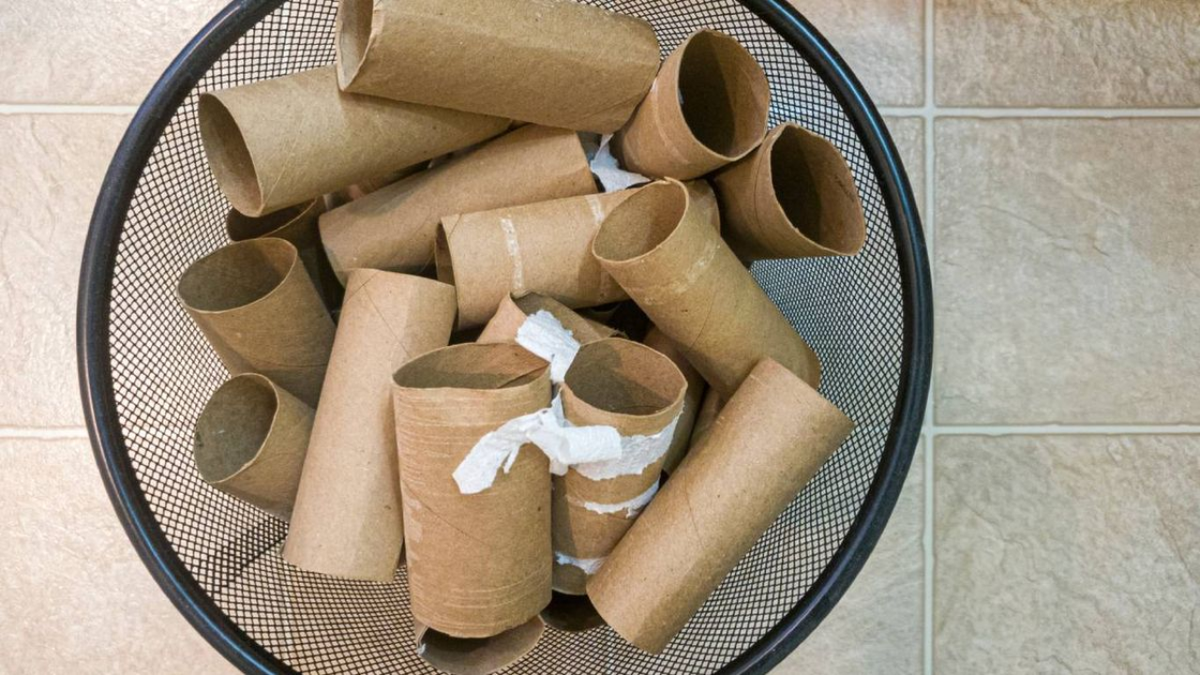 Los rollos de papel higiénico vacíos son un tesoro para los jardineros: el secreto para transformar tu jardín