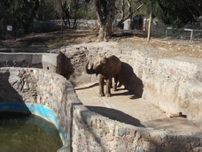 Ecoparque Mendoza. Imagen de archivo.