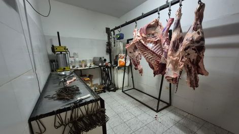 Un gran operativo arrojó 235 kilogramos de carne decomisados en Godoy Cruz.