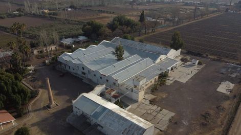 La bodega está ubicada en Algarrobo Grande, Junín. - Gentileza