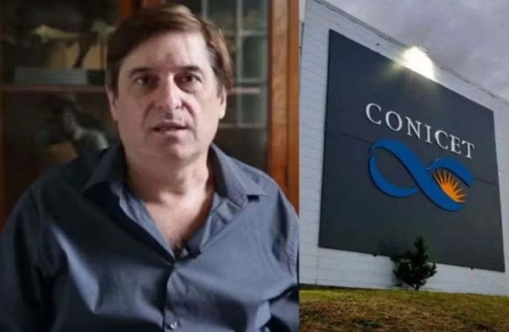 Daniel Salamone detalló el futuro del CONICET. Foto: TN