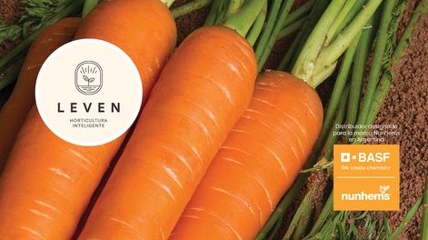 Los Andes | 4YA55ZAQWFEZPKU7YPYV2GGE6U.jpg?quality=75&smart=true&auth=08498e9e2b49f7871149da1ce5b105b10a3d41585878b79a3467a9c8ff69f70f&width=980&height=640