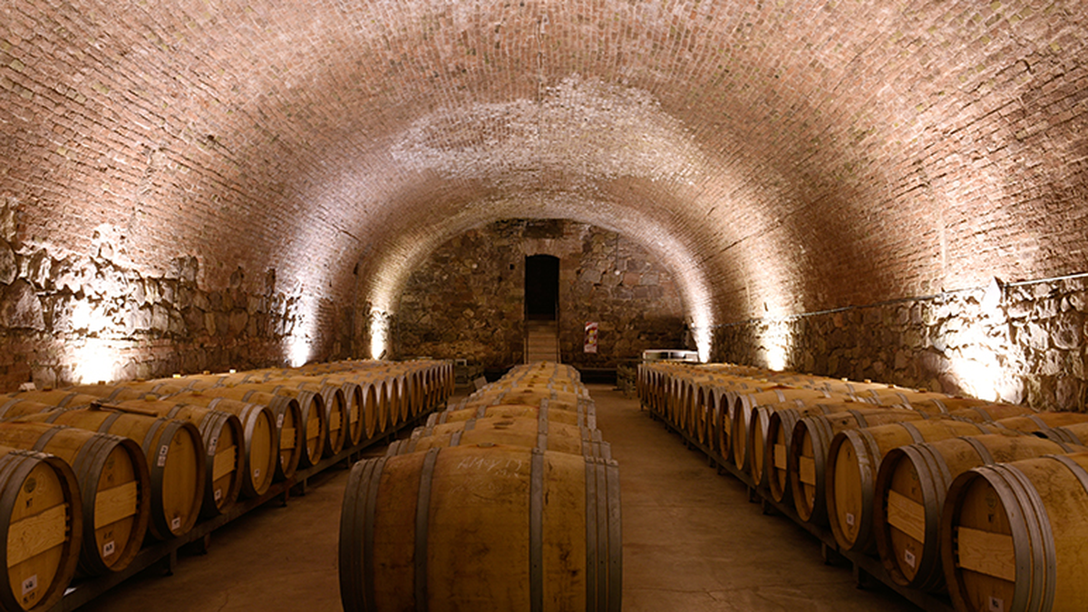 De vanguardia: cómo será la futurista Ciudad del Vino de Godoy Cruz en el Espacio Arizu