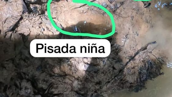 GUA200. GUAVIARE (COLOMBIA), 30/05/2023.- Fotografía cedida por las Fuerzas Militares de Colombia y modificada en la que se ven dos huellas, una perteneciente a la niña desaparecida y otra de un militar, en la selva del Guaviare (Colombia). Una huella, supuestamente de uno de los cuatro niños desaparecidos tras el accidente de un avión en la Amazonía colombiana, el pasado 1 de mayo, fue vista por los militares e indígenas que participan en su búsqueda, informaron este martes fuentes castrenses. EFE/ Fuerzas Militares SOLO USO EDITORIAL/NO VENTAS/SOLO DISPONIBLE PARA ILUSTRAR LA NOTICIA QUE ACOMPAÑA/CRÉDITO OBLIGATORIO/MÁXIMA CALIDAD DISPONIBLE