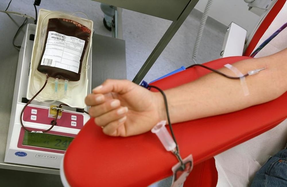 “Doná sangre, regalá vida”