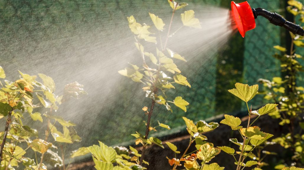 En el jard&iacute;n, la jardiner&iacute;a y las plantas, nada se desperdicia realmente.