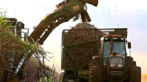 Los Andes | Instituto Nacional de Tecnología Industrial presentan los resultados de investigaciones que buscan la perfección técnica en toda clase de cultivos y ganado. / Foto: Archivo / Los Andes