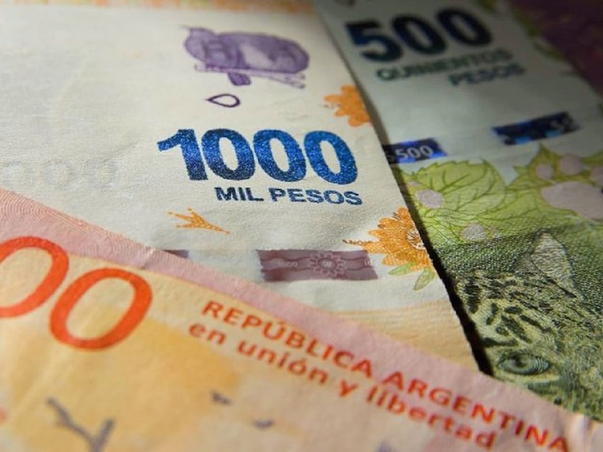 La Anses pagará en agosto bonos de $5.000 a jubilados, un anticipo de hasta $7.000 a titulares de la AUH, y por única vez de $5.253a $31.419 a algunos trabajadores en blanco.