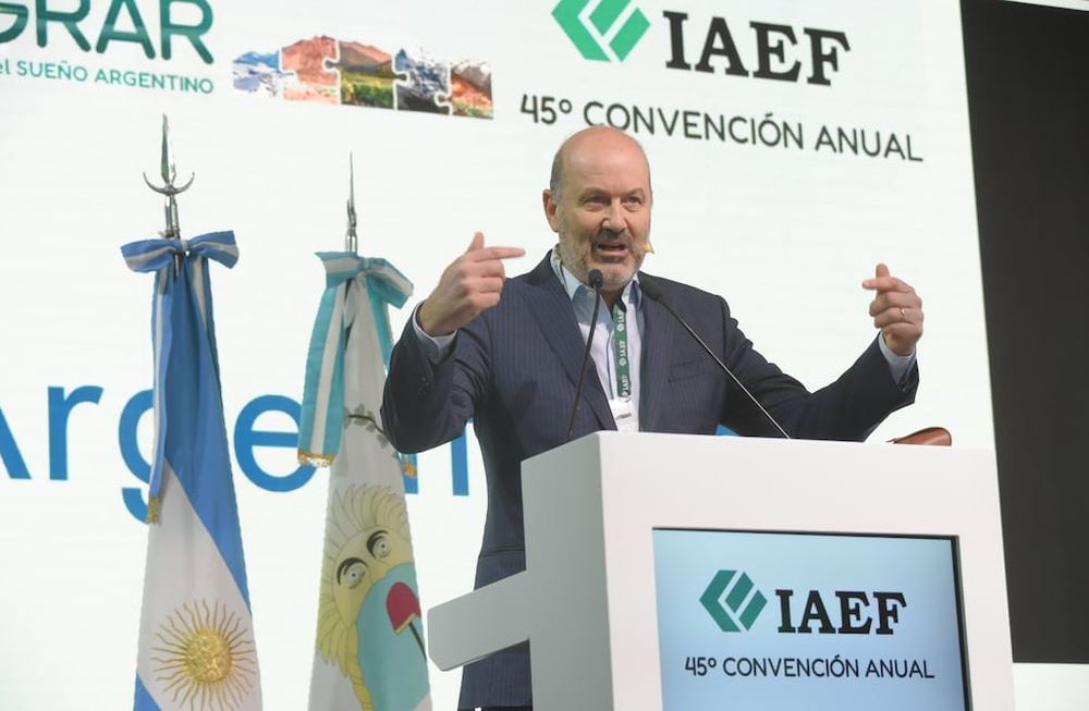 Federico Sturzenegger, ministro de Desregulación y Transformación del Estado,  45º Convención Anual del Instituto Argentino de Ejecutivos de Finanzas (IAEF) que se realizó en Mendoza. Foto: Gentileza