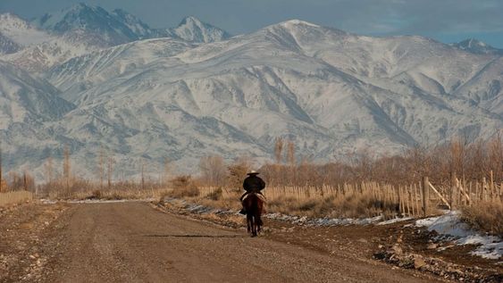 Llaman a licitación por 1.400 millones de pesos para asfaltar caminos de Gualtallary e inician obras en la RP 89