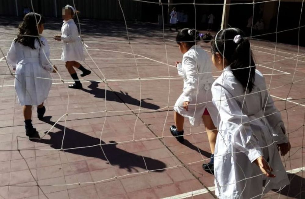 La inclusi&oacute;n en la ense&ntilde;anza: el desaf&iacute;o de conseguir acompa&ntilde;ante terap&eacute;utico