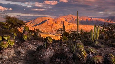 Maravillosos sitios de México, Colombia y España serán Patrimonio de la Humanidad