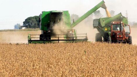 Soja (La Voz/Archivo).