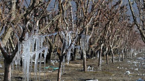 Los Andes | Un proyecto de ley busca restar discrecionalidad a estos fondos que llegan desde Nación a las provincias y establecer un reparto más equitativo, por cantidad de habitantes
