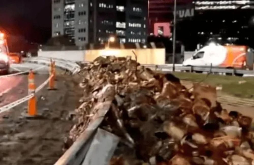 Según informaron las autoridades, el camión perdió el control y chocó contra las barreras contenedoras de la curva, lo que provocó el vuelco y la dispersión de la carga en plena autopista. (gentileza: Crónica)