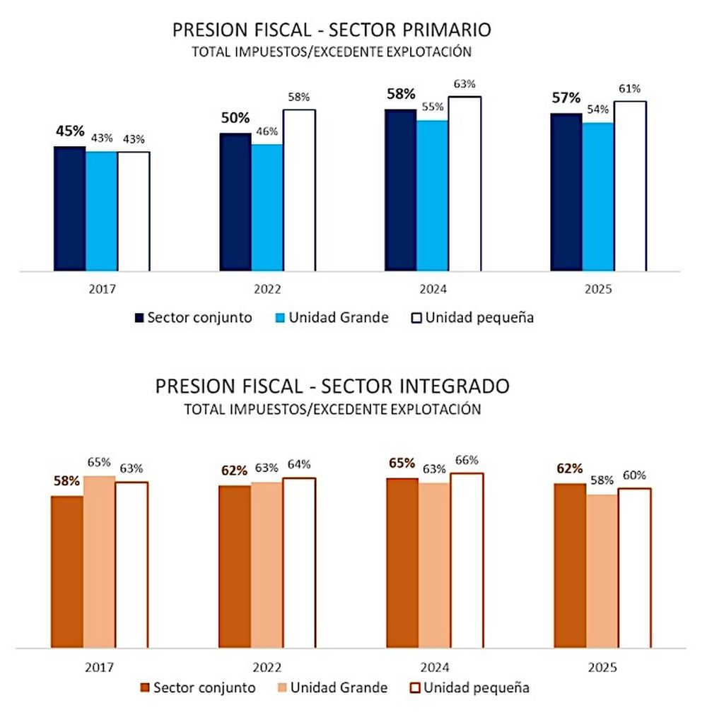 Evolution of the Tax Burden on Winemaking - Report on the tax burden on wine production in Argentina prepared by the Faculty of Economics of the National University of Cuyo for Coviar