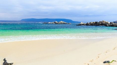 Con arena blanca y agua turquesa: Bahía Inglesa, una opción caribeña y tranquila en el norte chico de Chile