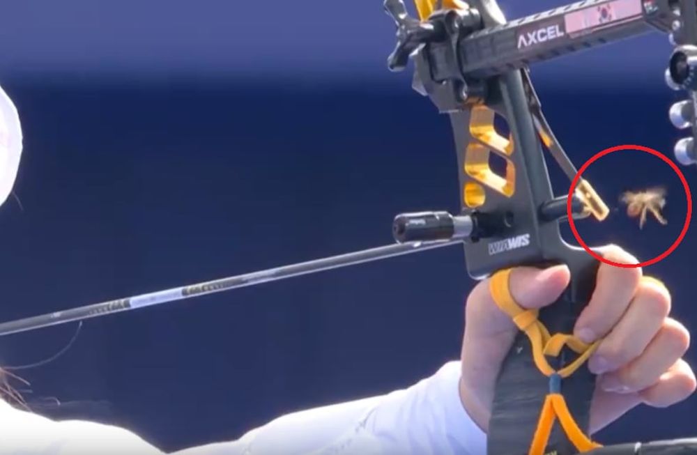Lim Sihyeon