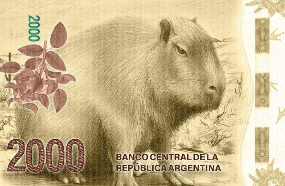 Los memes por el billete de 2000 pesos - Twitter