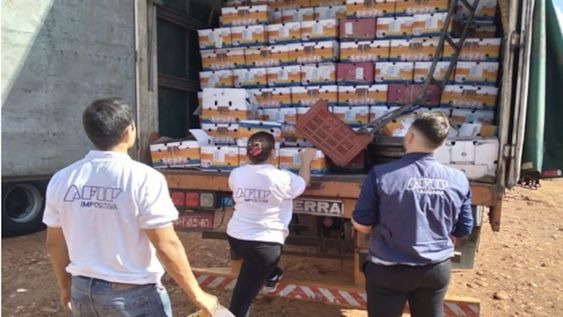 LA AFIP INCAUTÓ 75 TONELADAS DE AJO VALUADAS EN $8 MILLONES EN MENDOZA